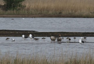 texel2018-32